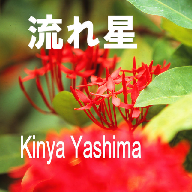 流れ星 cover