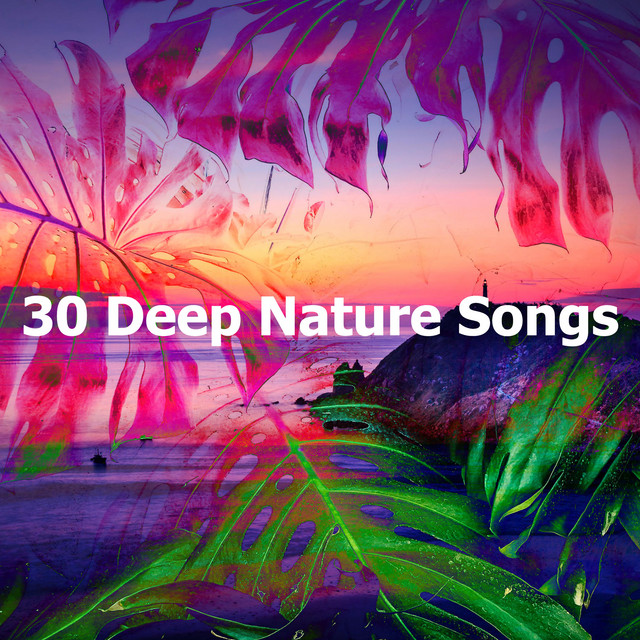 Bike Ride - song and lyrics by Deep Sleep Nature Sounds | Spotify