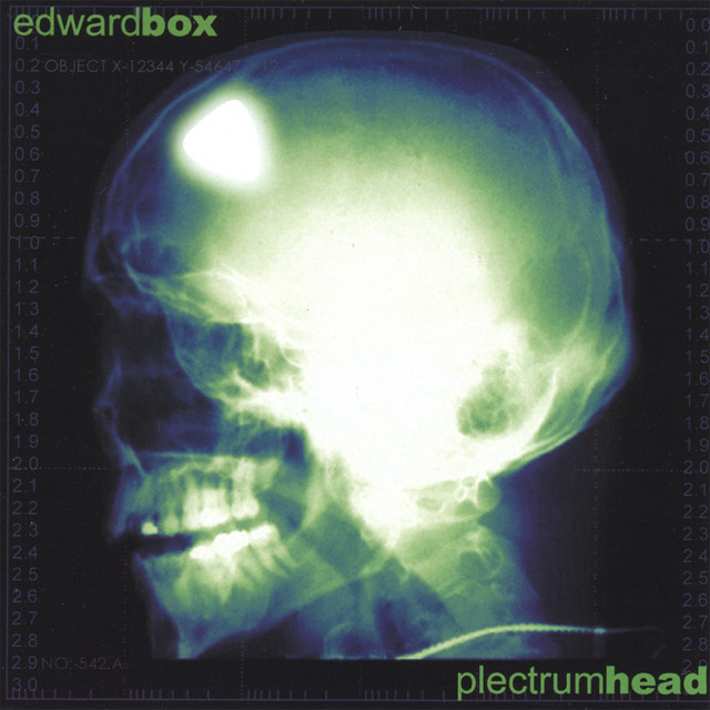 Plectrumhead cover