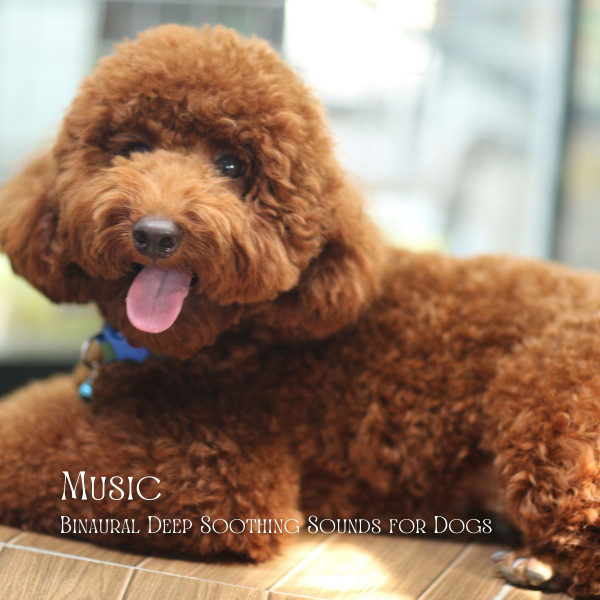 Music: Binaural Deep Soothing Sounds for Dogs cover art