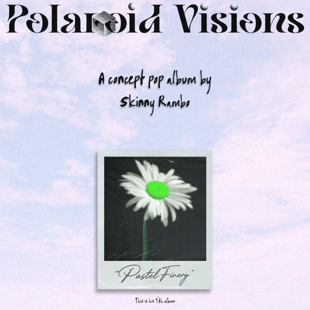 Polaroid Visions cover art