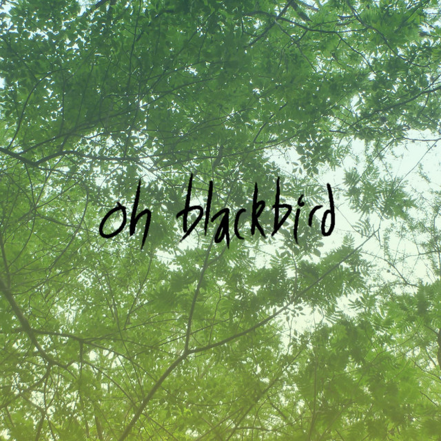 oh blackbird cover art