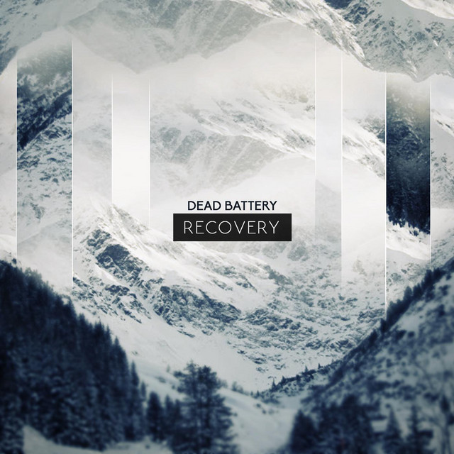 Recovery cover art