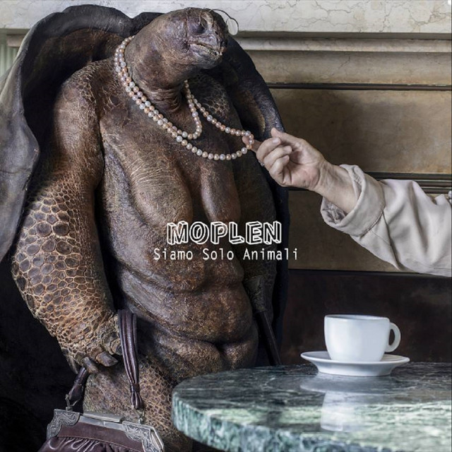 Siamo solo animali cover art