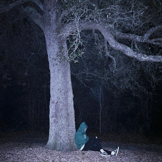 Nocturnal cover art