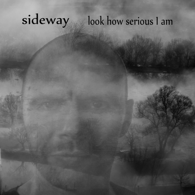 Look How Serious I Am cover art