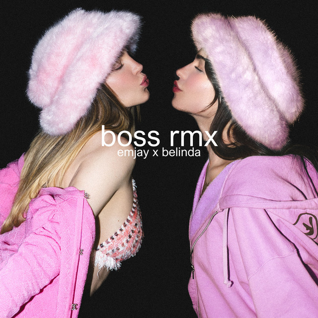 boss rmx cover art