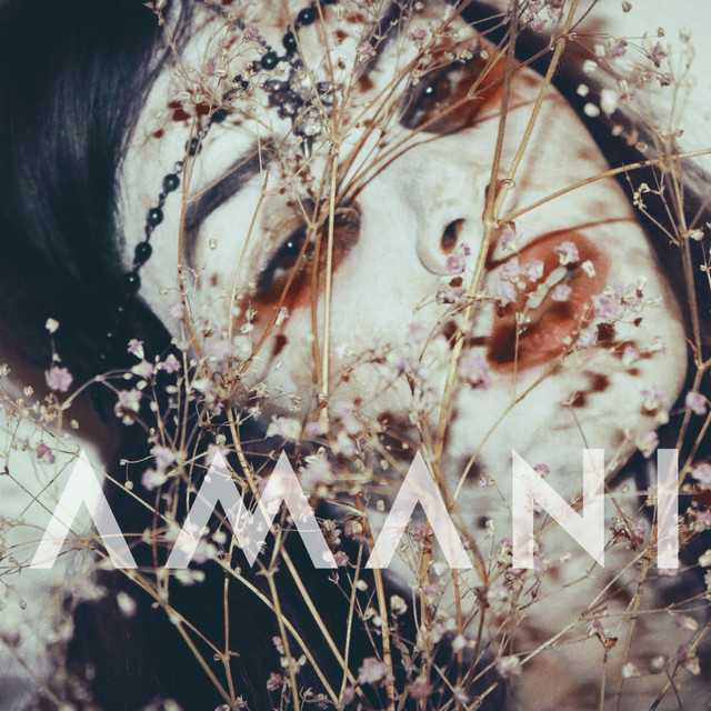 Transform cover art