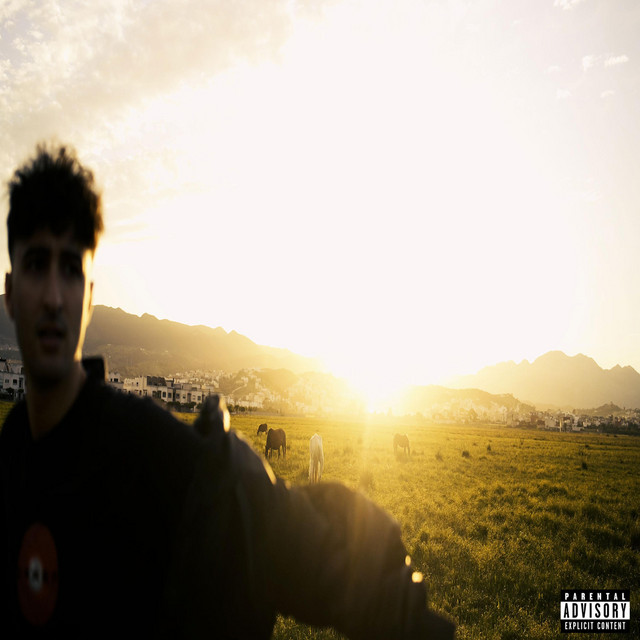 SAFe cover art