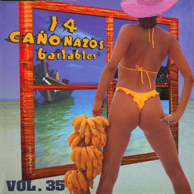 14 Cañonazos Bailables (Vol. 35)