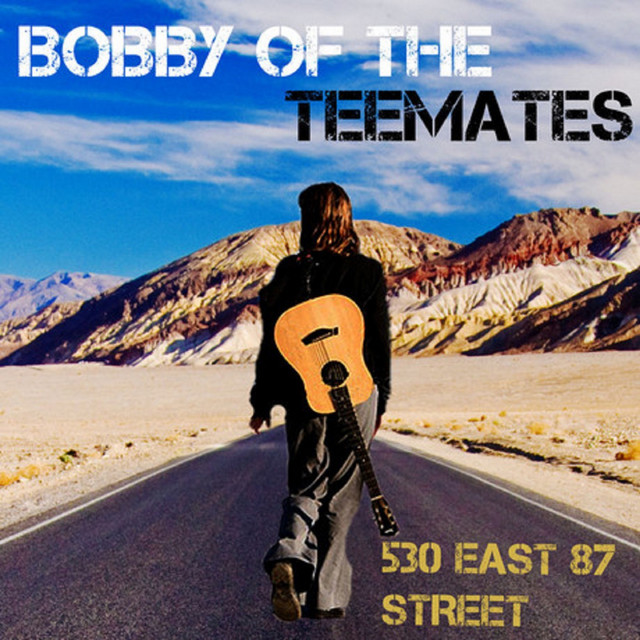 530 East 87 Street cover