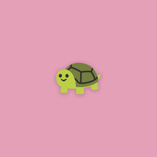 Turtles cover art