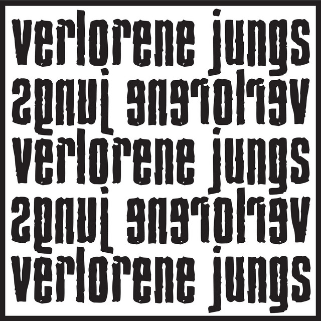 Verlorene Jungs cover