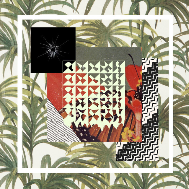 Palms cover