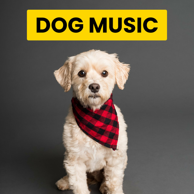 Dog Music cover art