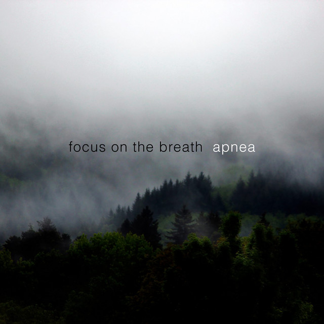 Focus on the Breath Photo