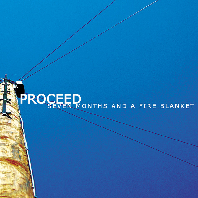 Seven Months and a Fire Blanket cover art