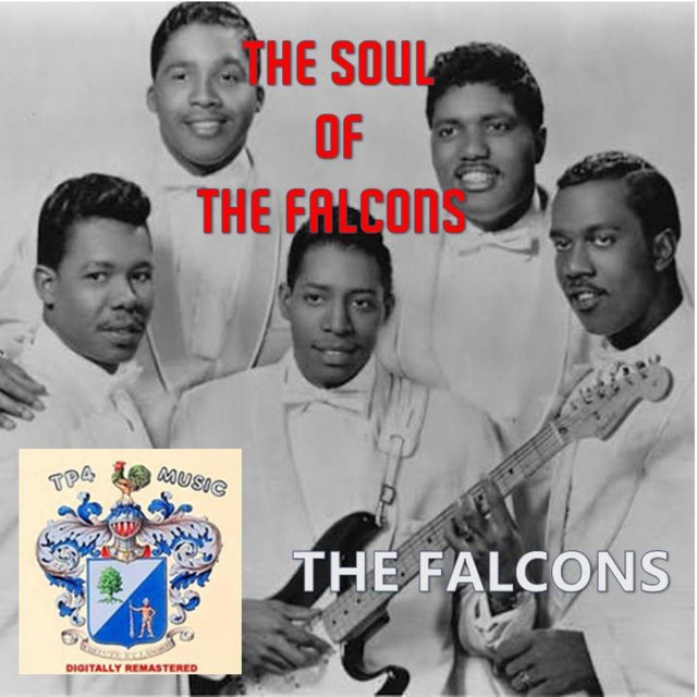 The Soul of The Falcons cover art