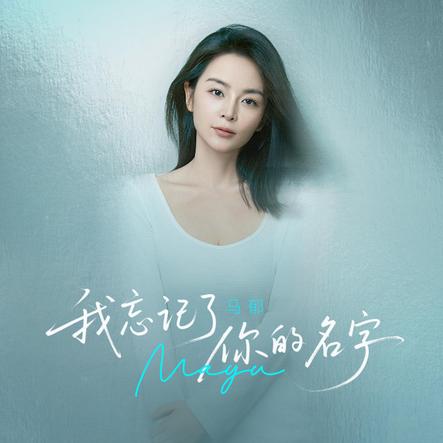 我忘记了你的名字 cover