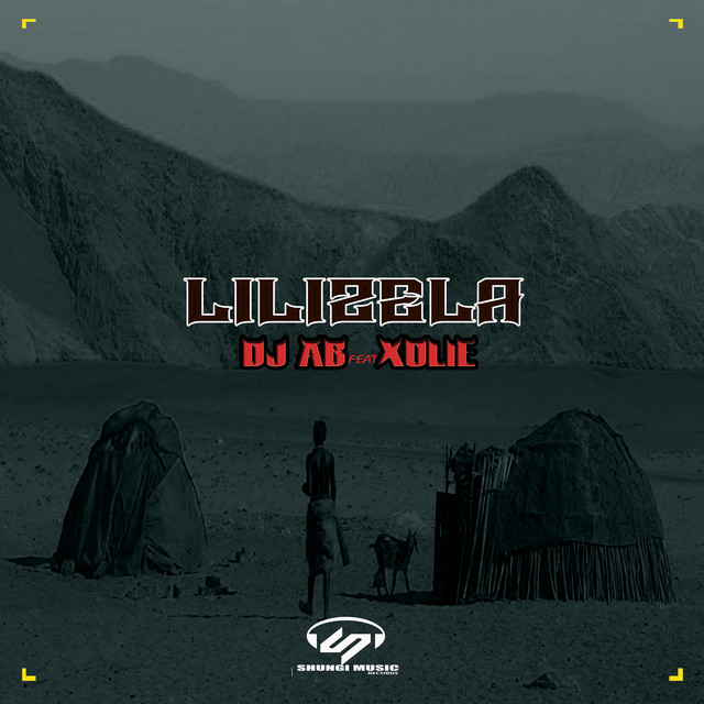 Lilizela album art