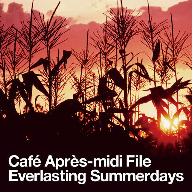 Café Après-midi Orange アプレミディ・セレソン / V.A. 『Cafe Apres-midi Orange』
