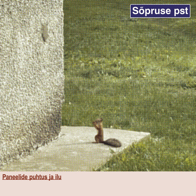 Paneelide puhtus ja ilu cover art