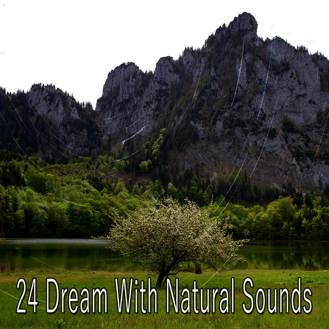 24 Dream With Natural Sounds - Album by Sleep Sounds of Nature | Spotify
