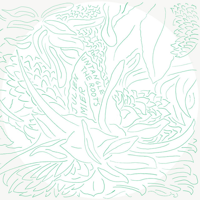 Untangle The Roots cover art