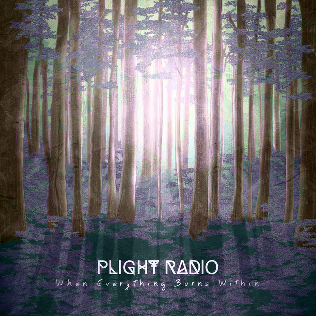 When Everything Burns Within cover art