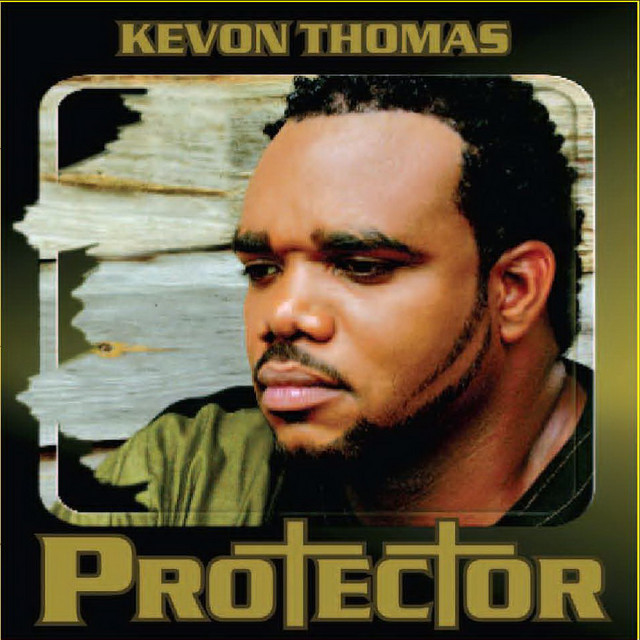 Protector cover
