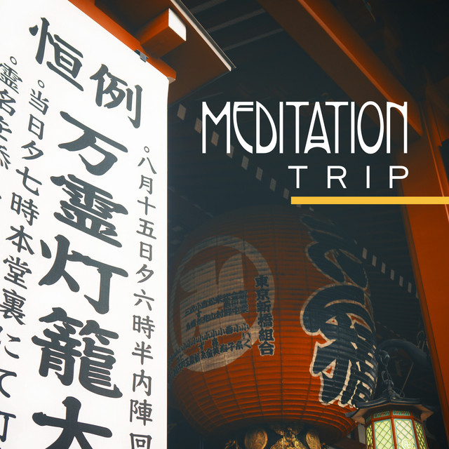 Awareness Trip cover art