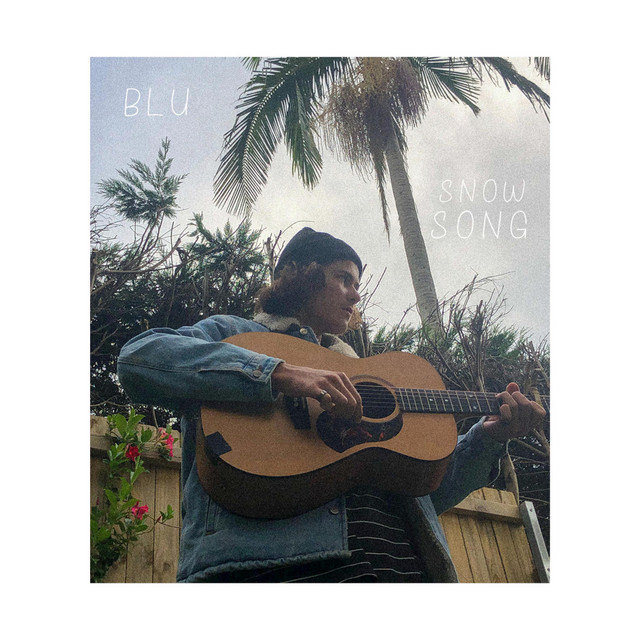 Blu / Snow Song cover art
