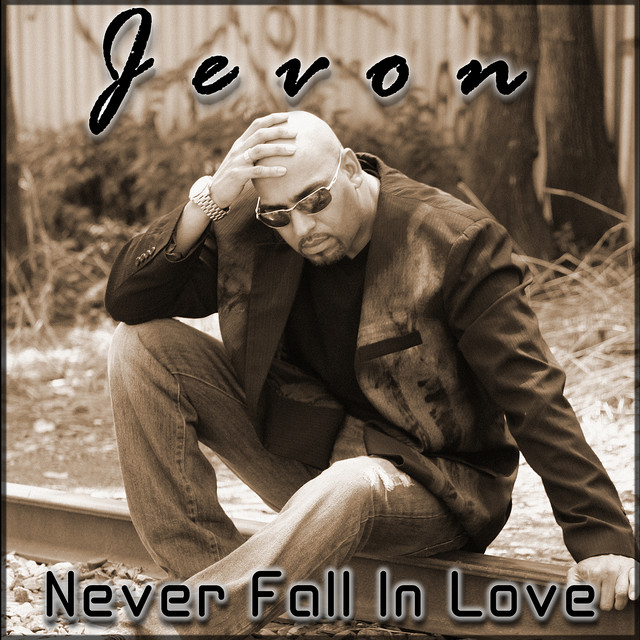 Never Fall In Love cover art