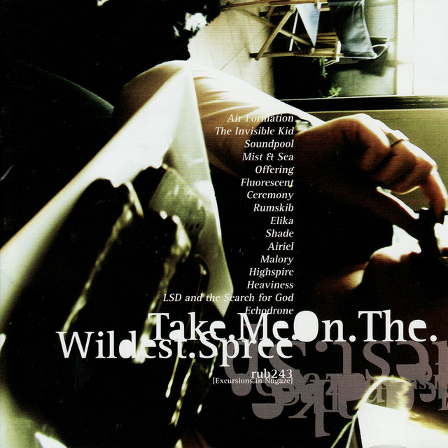 Take Me On the Wildest Spree [Excursions In Nugaze] cover art