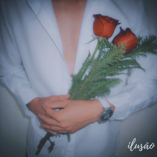 Ilusão cover art