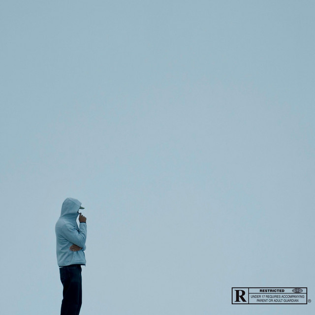 PROJET PILOTE cover art