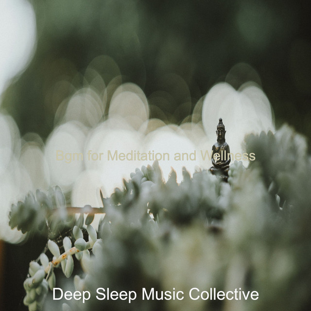 Bgm for Meditation and Wellness - Album by Deep Sleep Music Collective ...