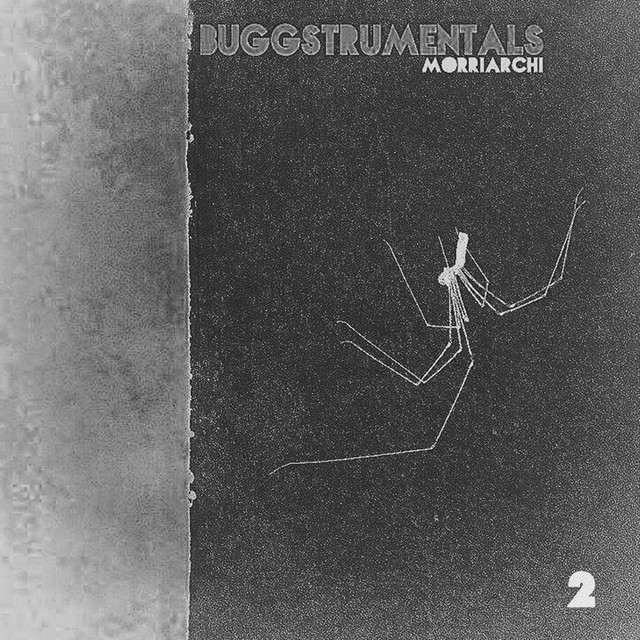 Buggstrumentals 2 (Instrumental) cover art