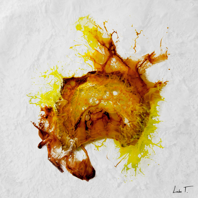 Serengeti cover