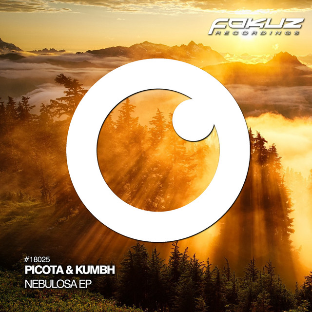 Nebulosa album art