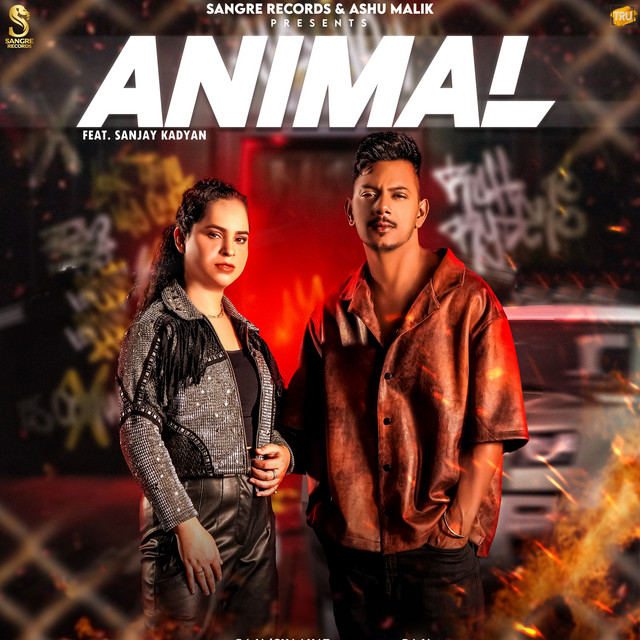 Animal