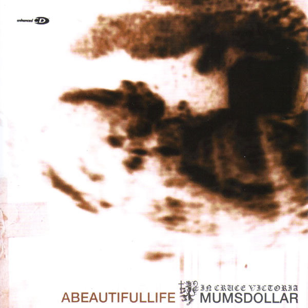 A Beautiful Life cover art