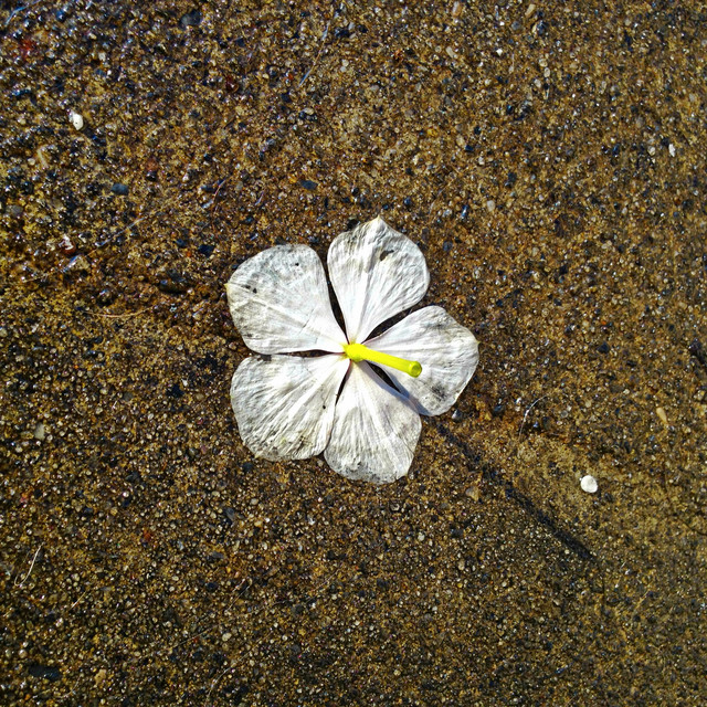 In the Middle cover art