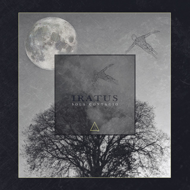 Looking The Earth From The Moon cover art