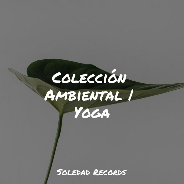 Colección Ambiental | Yoga