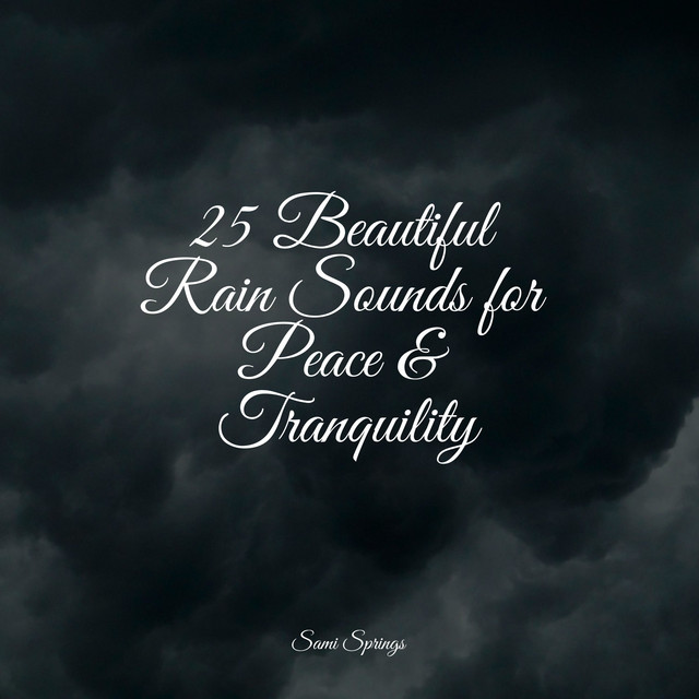 25 Beautiful Rain Sounds for Peace & Tranquility - Album by Academia de ...