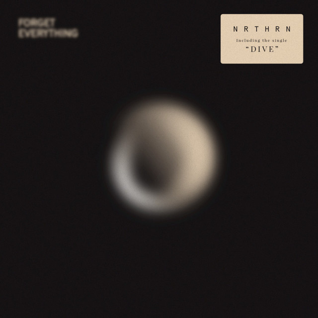 Forget Everything (single)