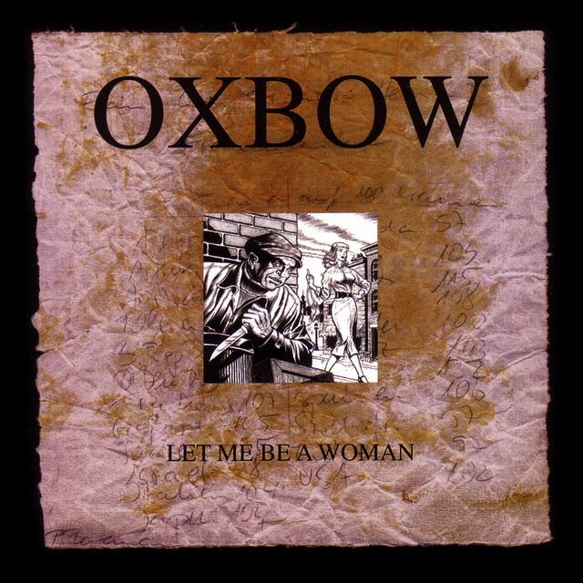 Let me be a woman cover art