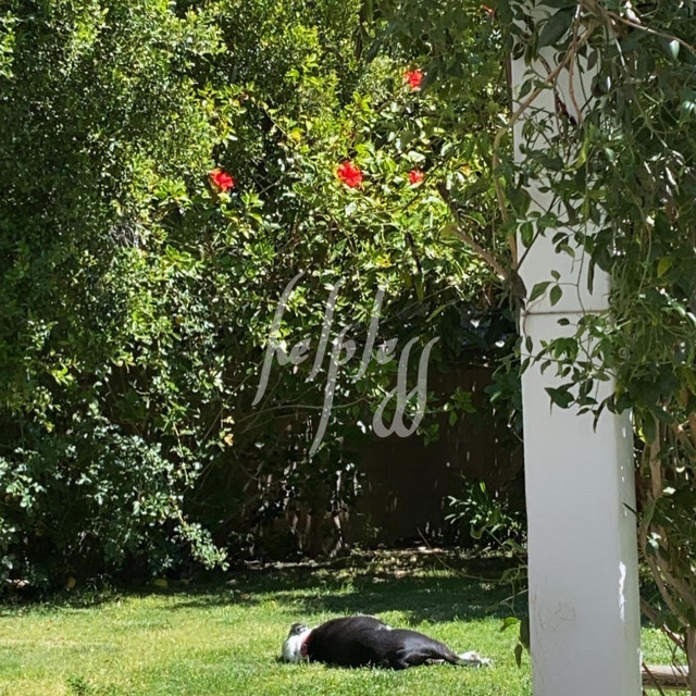 helpless/missing u cover art