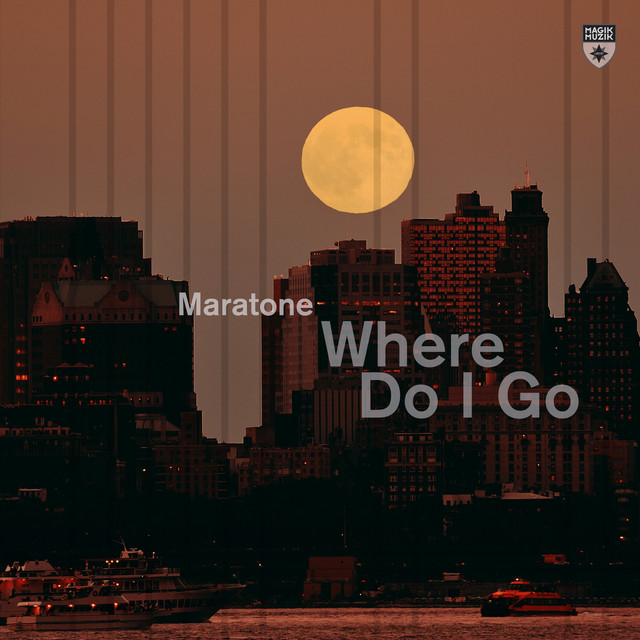 Where Do I Go - Extended Mix album art